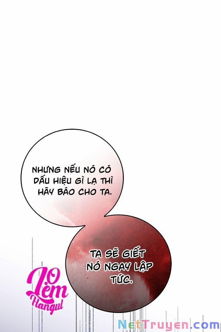 Cách Để Em Bảo Vệ Anh 20 trang 17