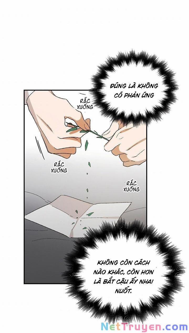 Cách Để Em Bảo Vệ Anh 6 trang 44