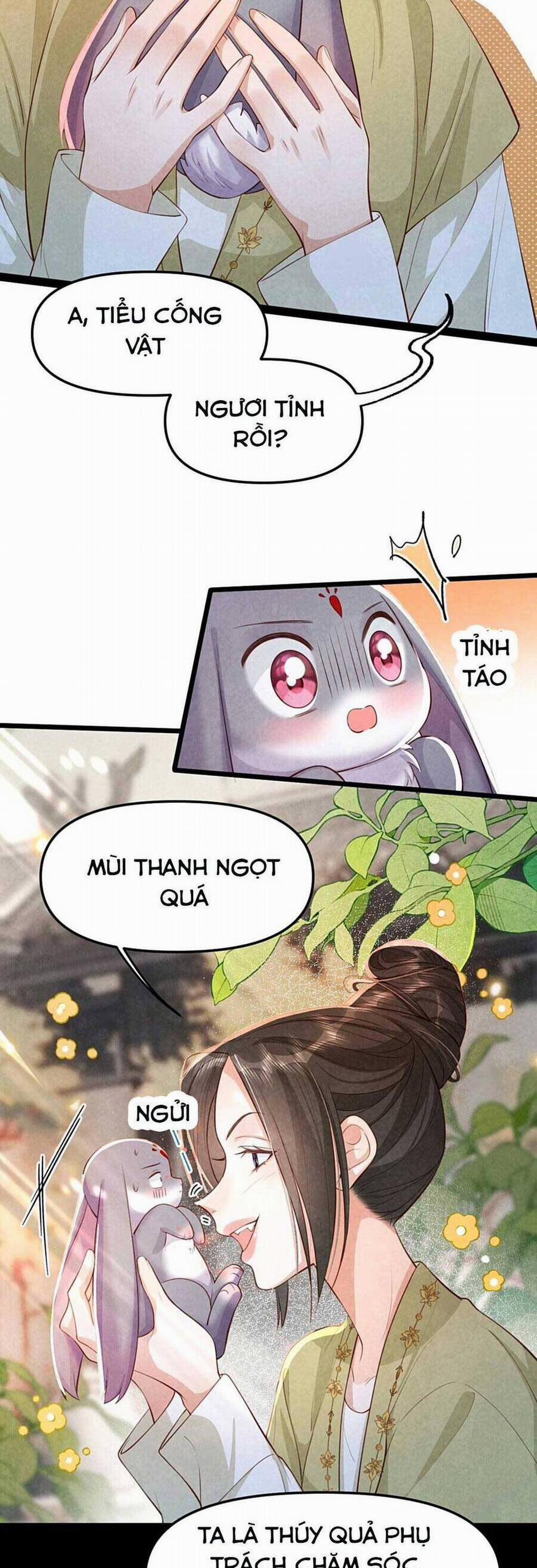 Cách Để Tồn Tại Như Một Cống Phẩm 13 trang 11