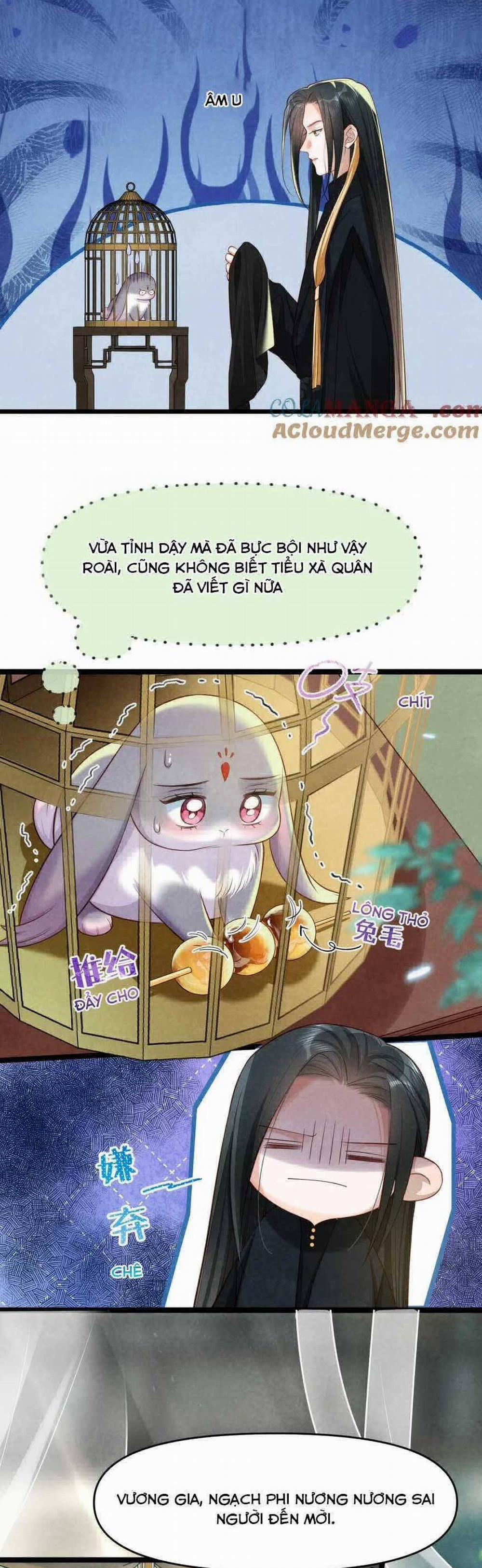 Cách Để Tồn Tại Như Một Cống Phẩm 16 trang 1