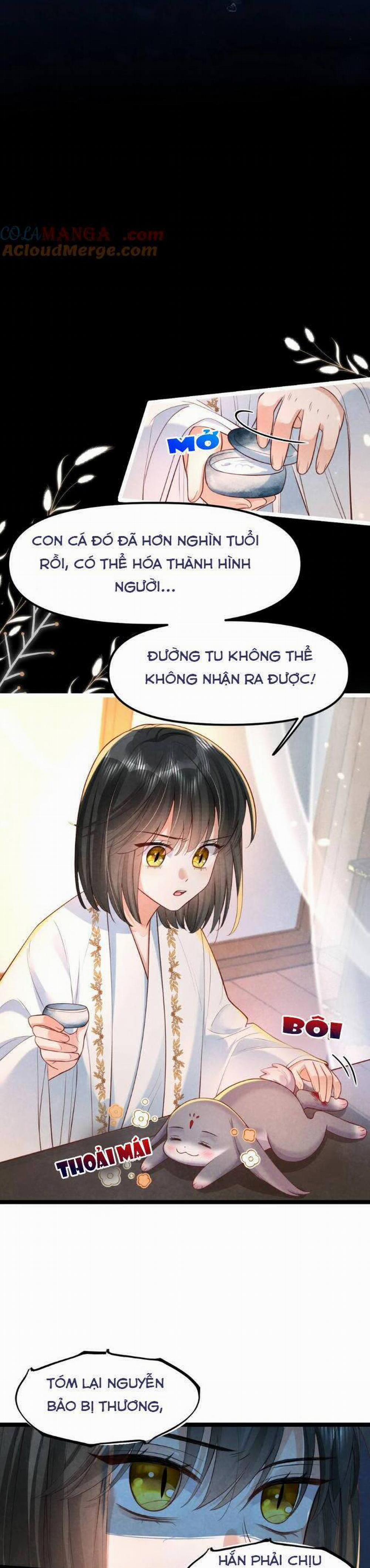 Cách Để Tồn Tại Như Một Cống Phẩm 21 trang 11