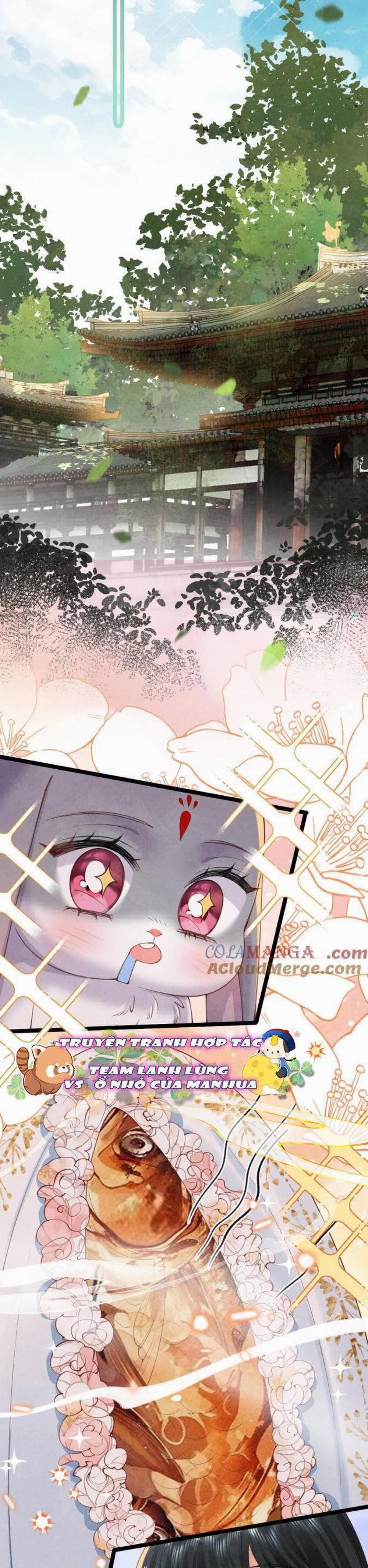 Cách Để Tồn Tại Như Một Cống Phẩm 21 trang 14