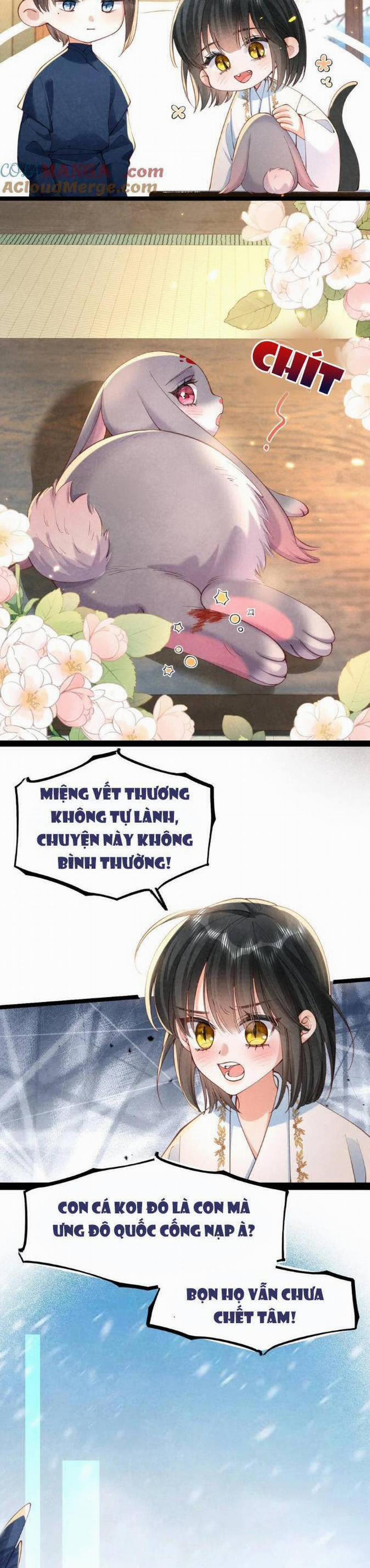 Cách Để Tồn Tại Như Một Cống Phẩm 21 trang 8