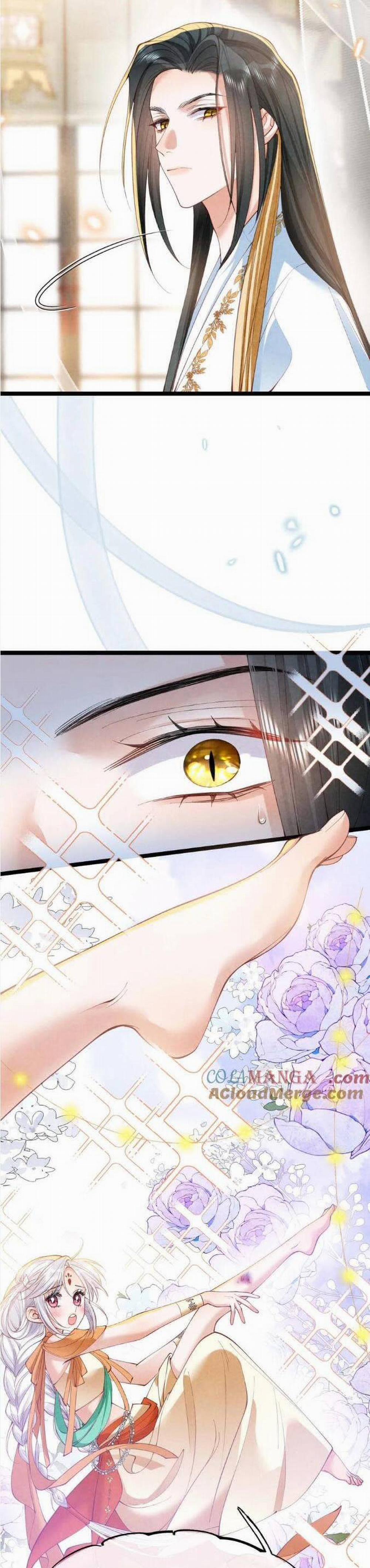 Cách Để Tồn Tại Như Một Cống Phẩm 23 trang 5