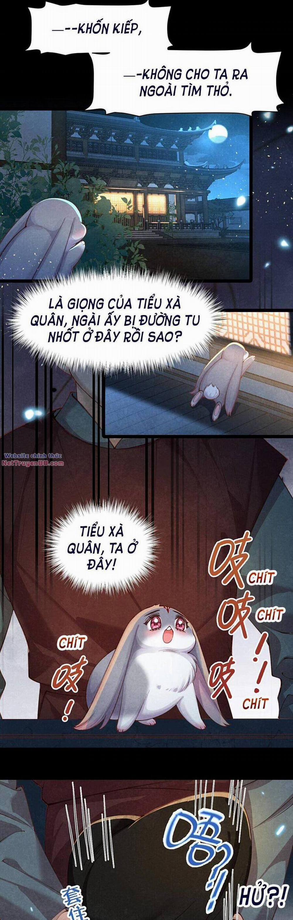 Cách Để Tồn Tại Như Một Cống Phẩm 6 trang 18