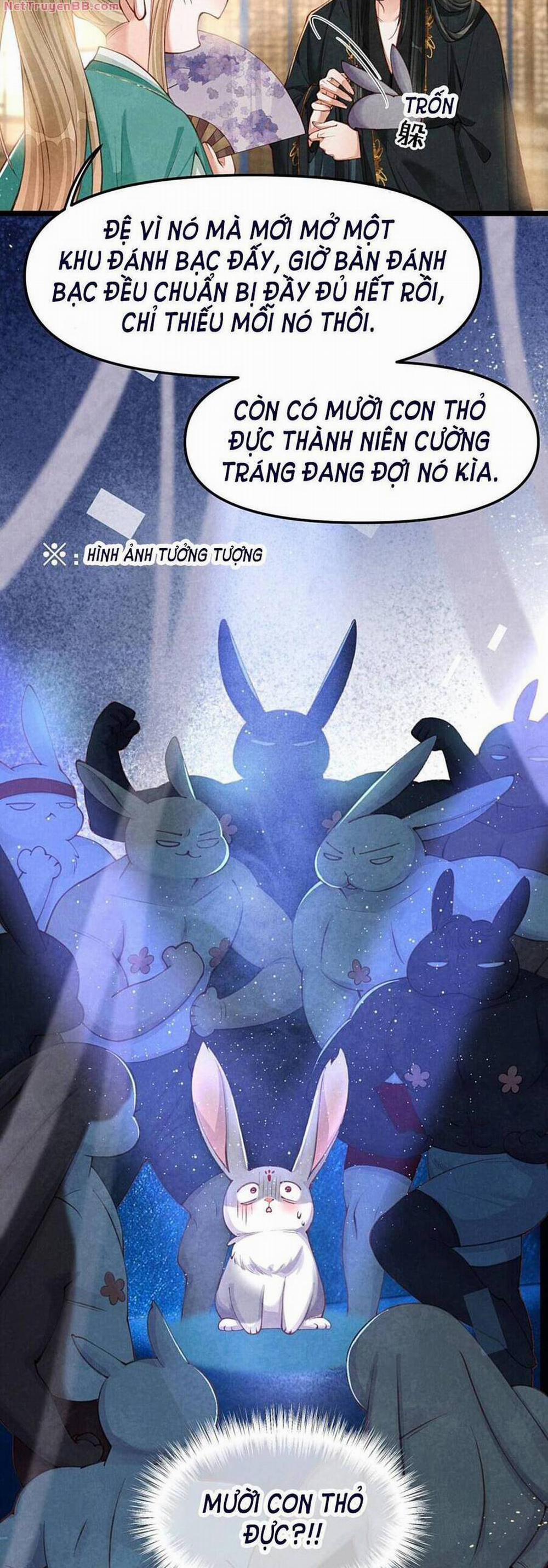 Cách Để Tồn Tại Như Một Cống Phẩm 6 trang 8