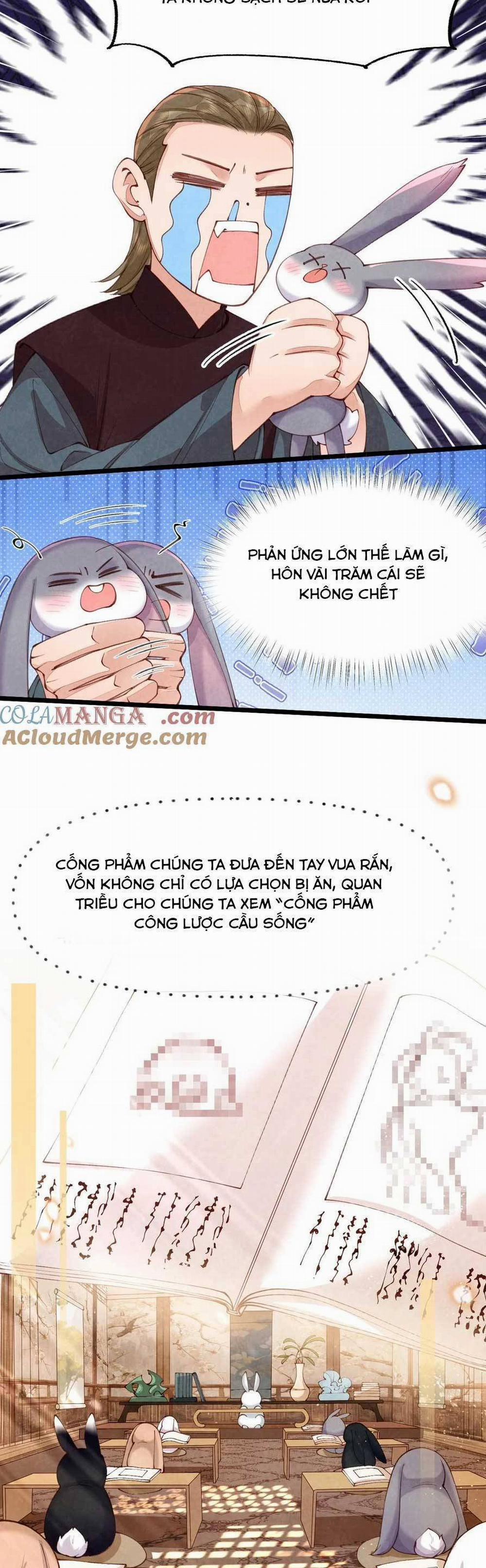 Cách Để Tồn Tại Như Một Cống Phẩm 8 trang 15