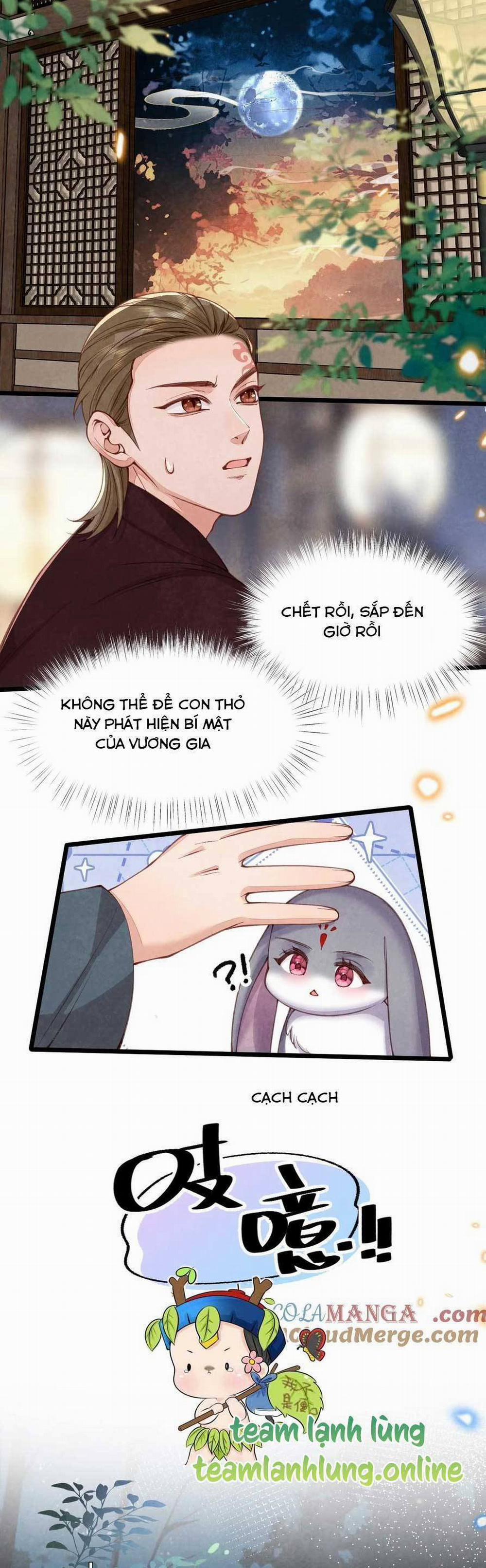 Cách Để Tồn Tại Như Một Cống Phẩm 8 trang 17