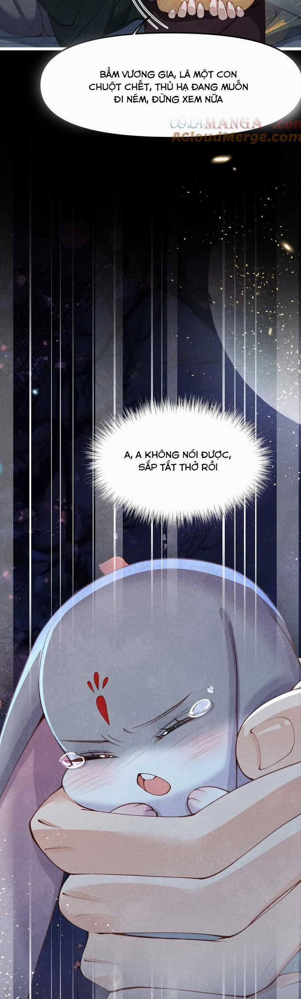 Cách Để Tồn Tại Như Một Cống Phẩm 8 trang 20