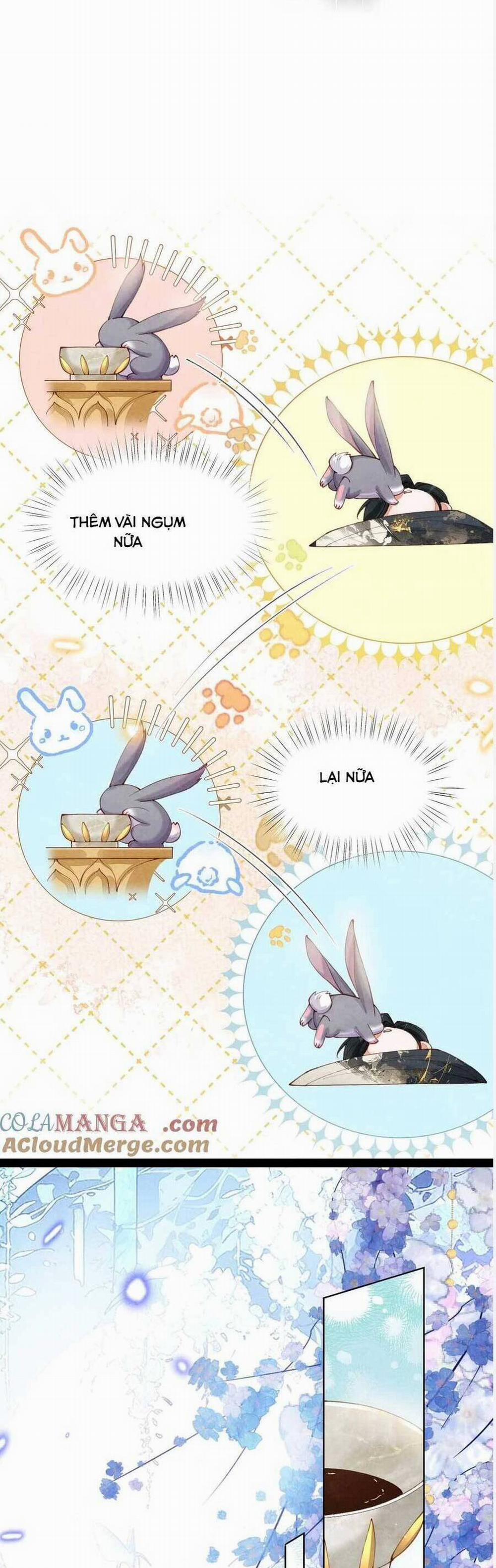 Cách Để Tồn Tại Như Một Cống Phẩm 8 trang 6