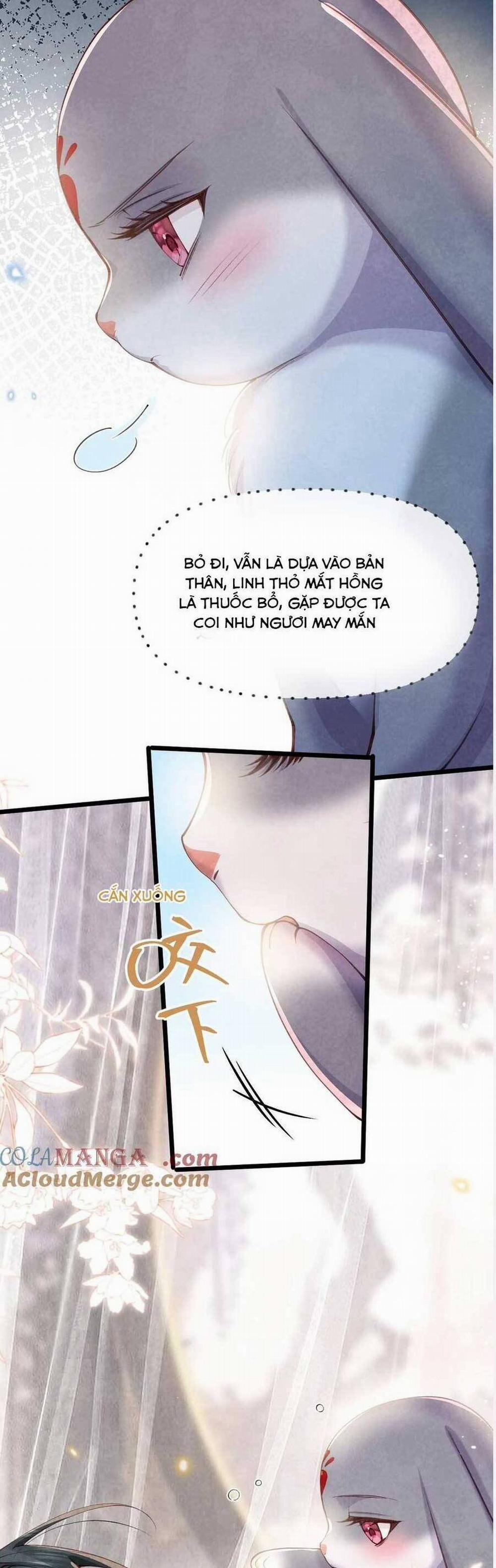 Cách Để Tồn Tại Như Một Cống Phẩm 8 trang 8