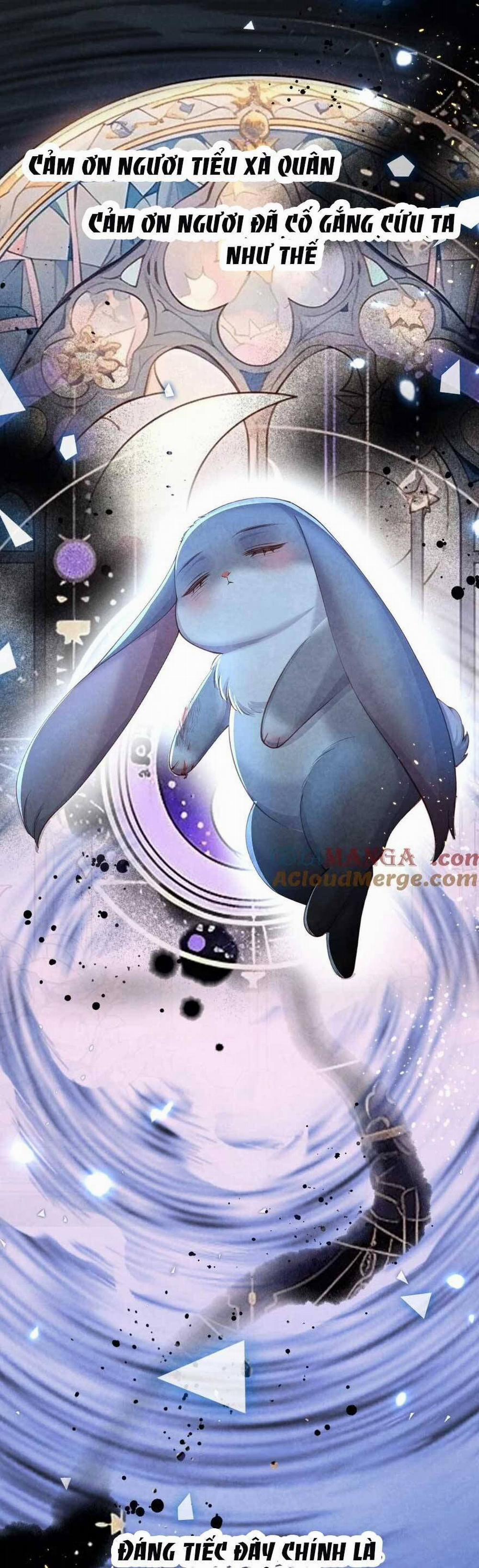 Cách Để Tồn Tại Như Một Cống Phẩm 9 trang 17