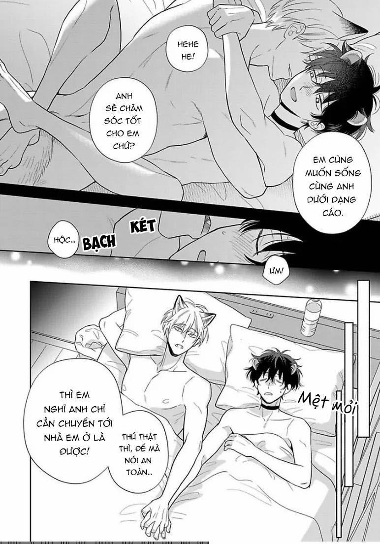 Cách Khiến Một Omega Trở Nên Ngon Miệng 11 trang 27