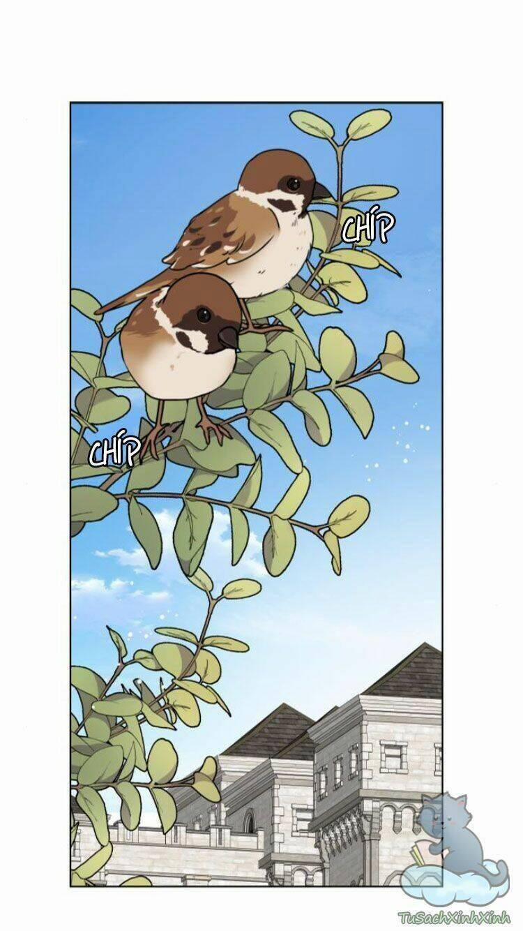 Cách Mà Kỵ Sĩ Sống Như Tiểu Thư 36 trang 1