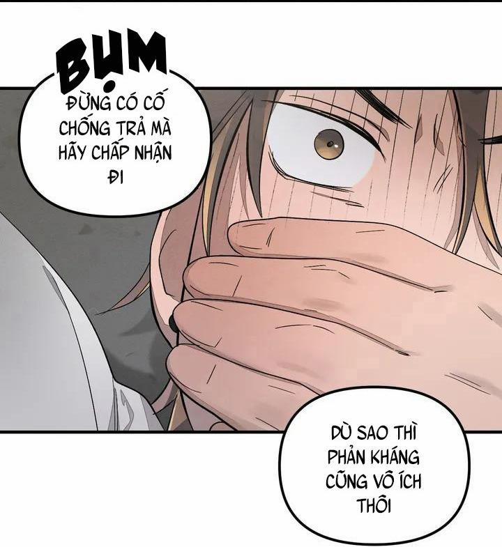 Cách Nuôi Một Chú Chó 1 trang 27