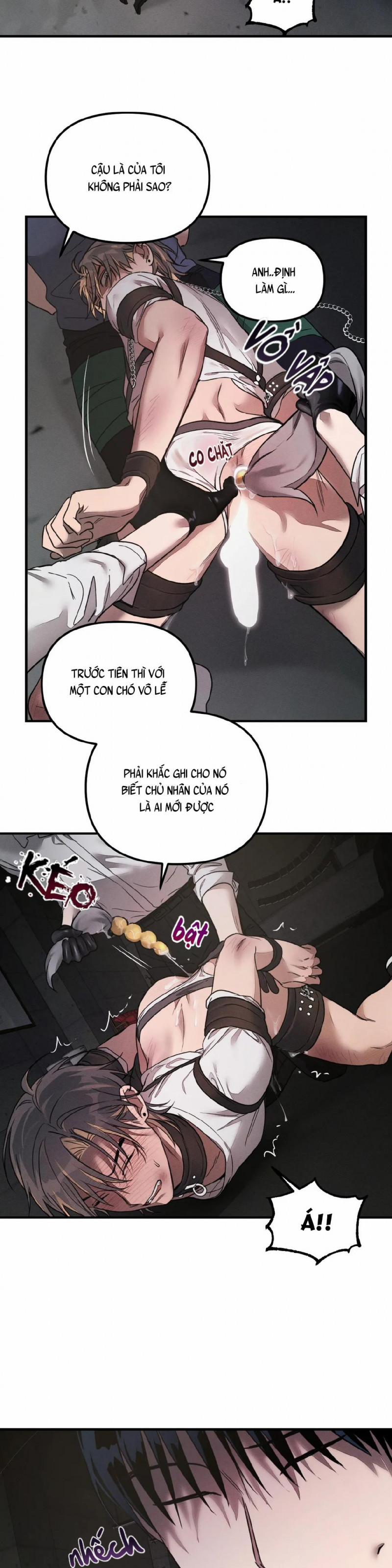 Cách Nuôi Một Chú Chó 2.5 trang 32