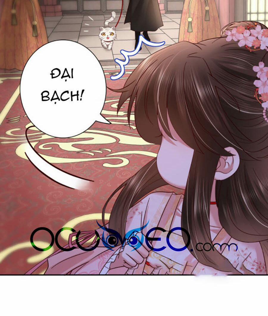 Cách Thức Sinh Tồn Của Pháo Hôi Khuê Nữ 11 trang 8