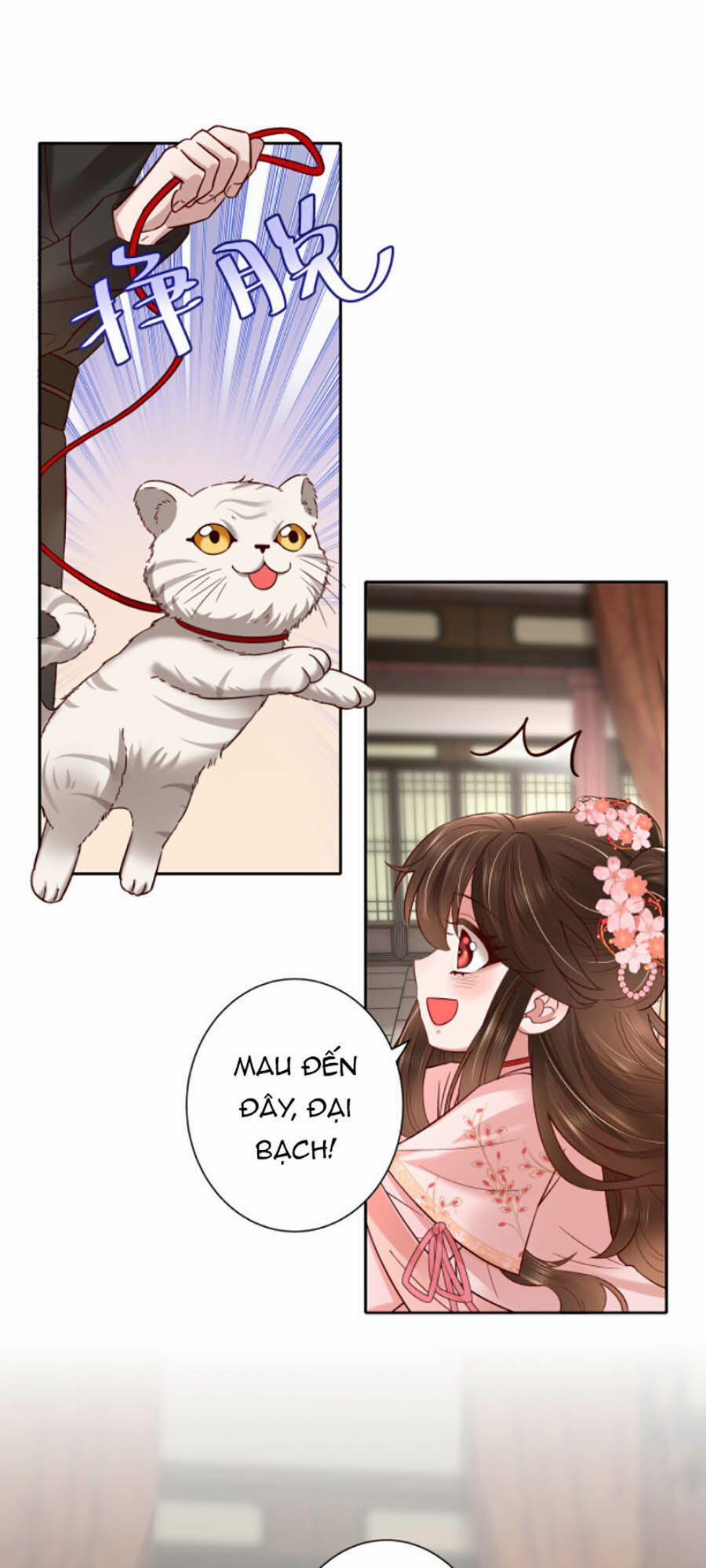 Cách Thức Sinh Tồn Của Pháo Hôi Khuê Nữ 11 trang 9