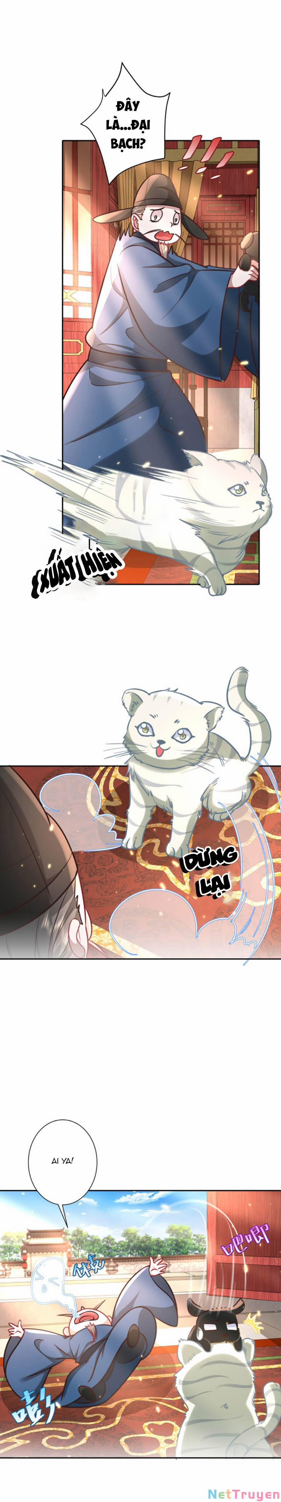 Cách Thức Sinh Tồn Của Pháo Hôi Khuê Nữ 27 trang 4