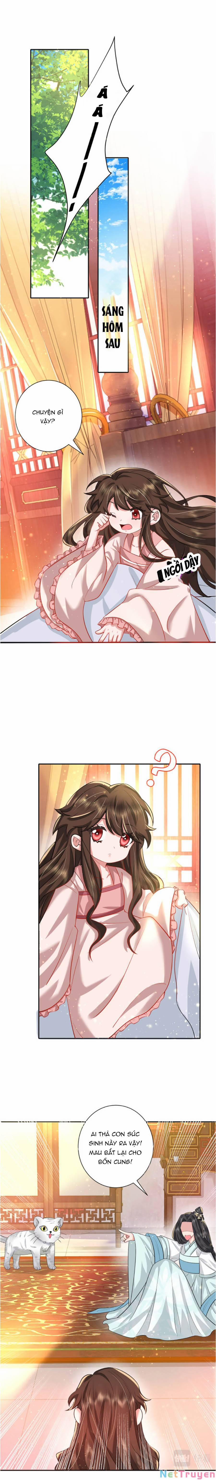 Cách Thức Sinh Tồn Của Pháo Hôi Khuê Nữ 40 trang 2