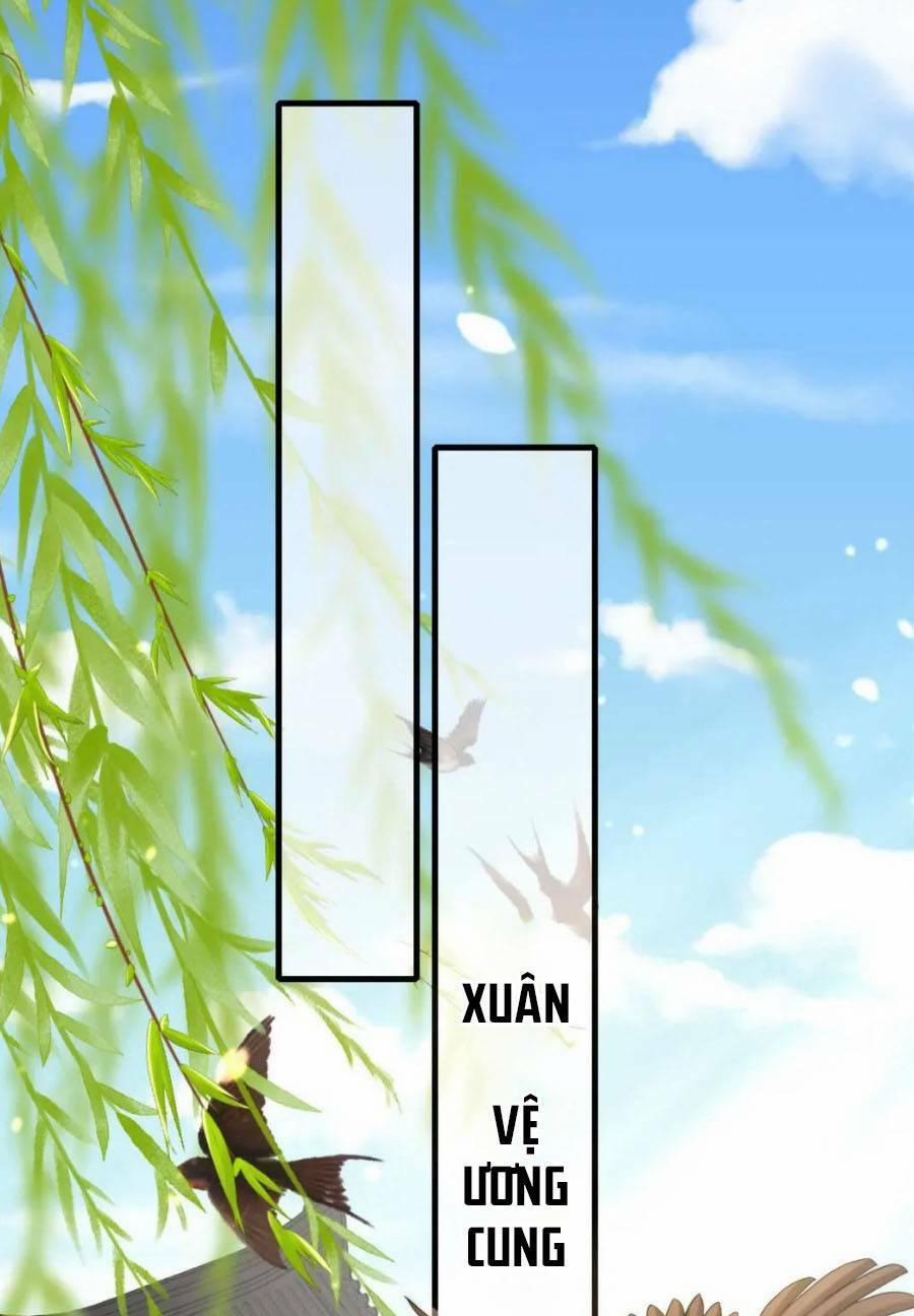 Cách Thức Sinh Tồn Của Pháo Hôi Khuê Nữ 66 trang 11