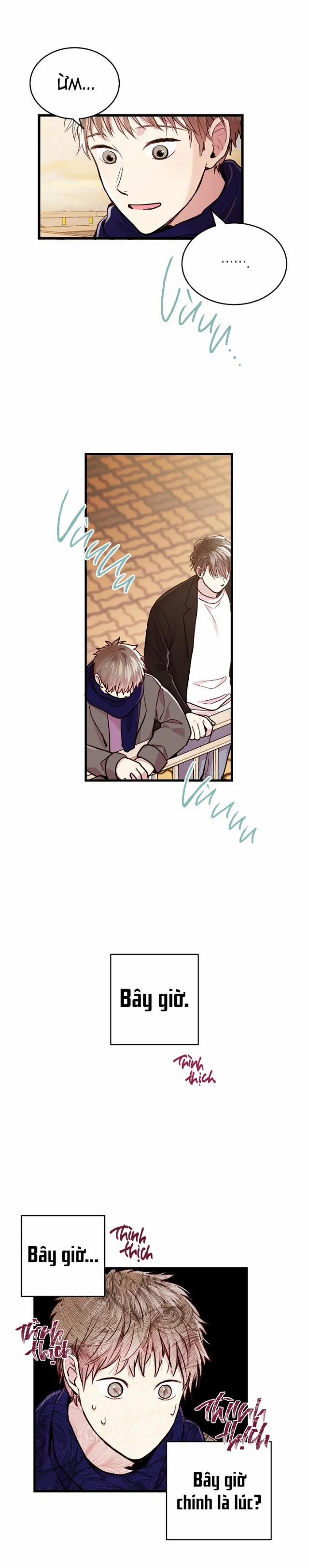 Cách Thức Trở Thành Gia Đình 28 trang 18