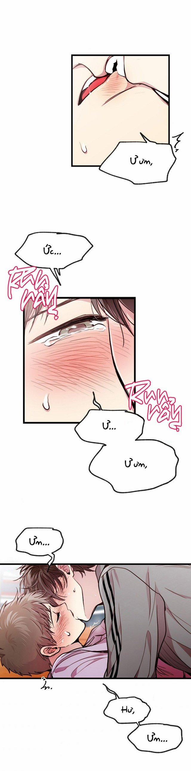 Cách Thức Trở Thành Gia Đình 32 trang 14