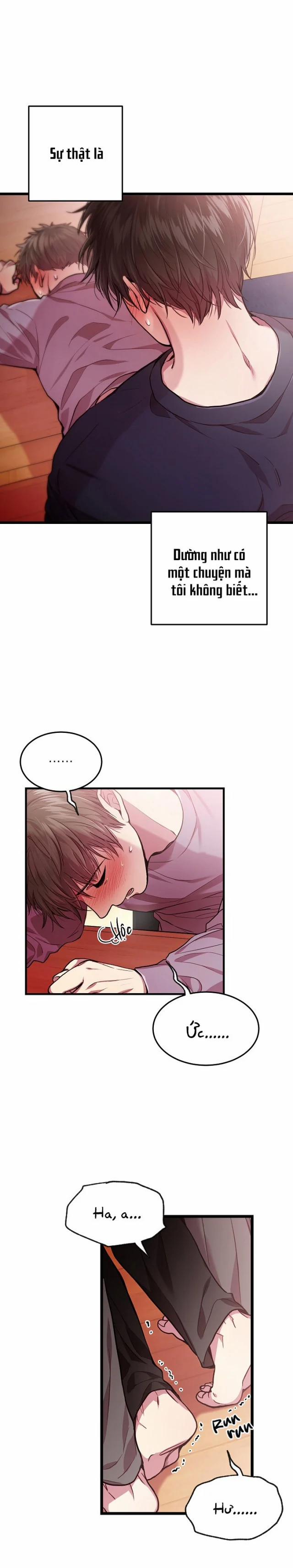 Cách Thức Trở Thành Gia Đình 39 trang 7