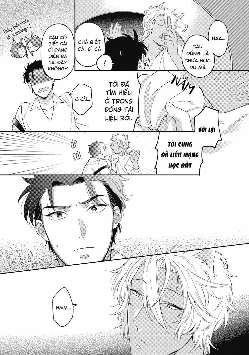 Cách yêu một nhân thú gắt gỏng 1 trang 29