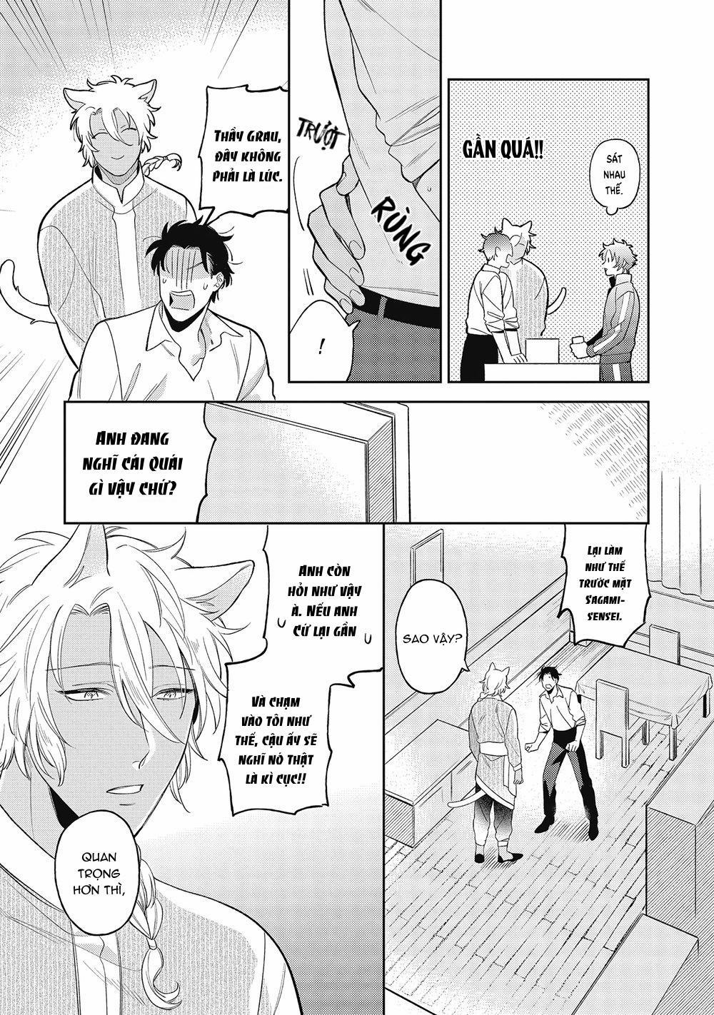 Cách yêu một nhân thú gắt gỏng 2 trang 12