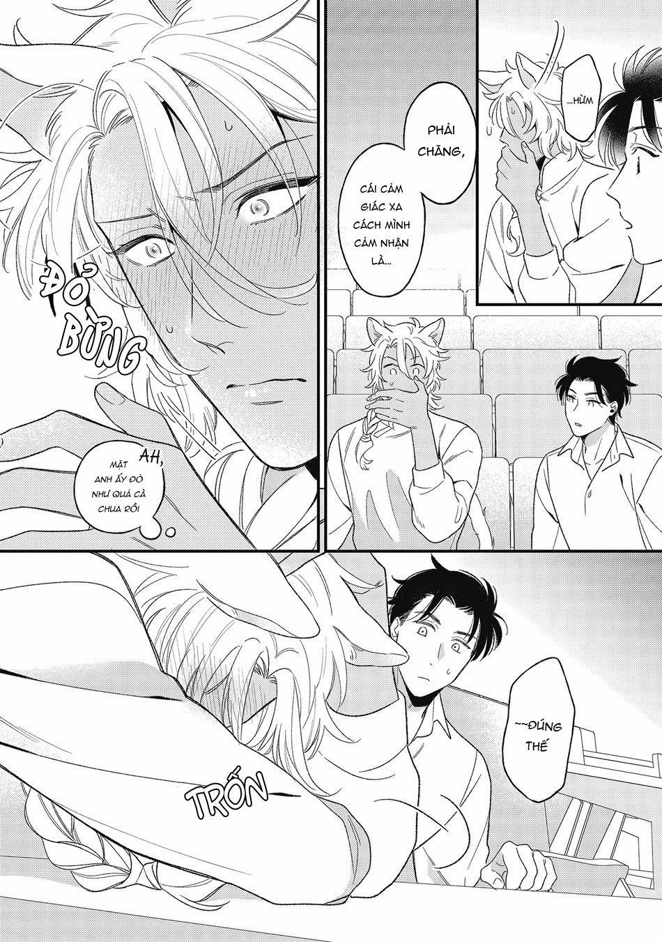 Cách yêu một nhân thú gắt gỏng 4 trang 11