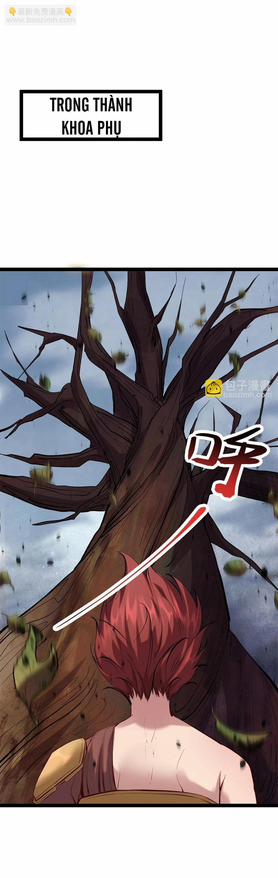 Cái Bóng Vạn Năng 208 trang 1