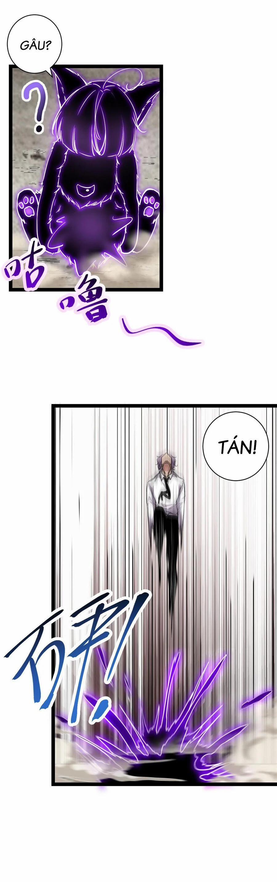 Cái Bóng Vạn Năng 219 trang 11