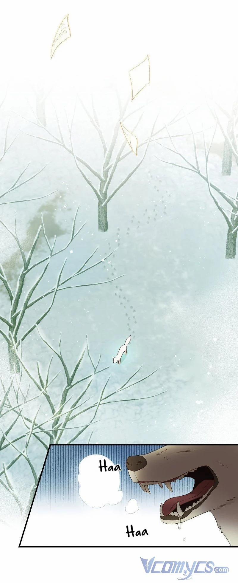 Cái Chết Của Chồn Tuyết 1 trang 11