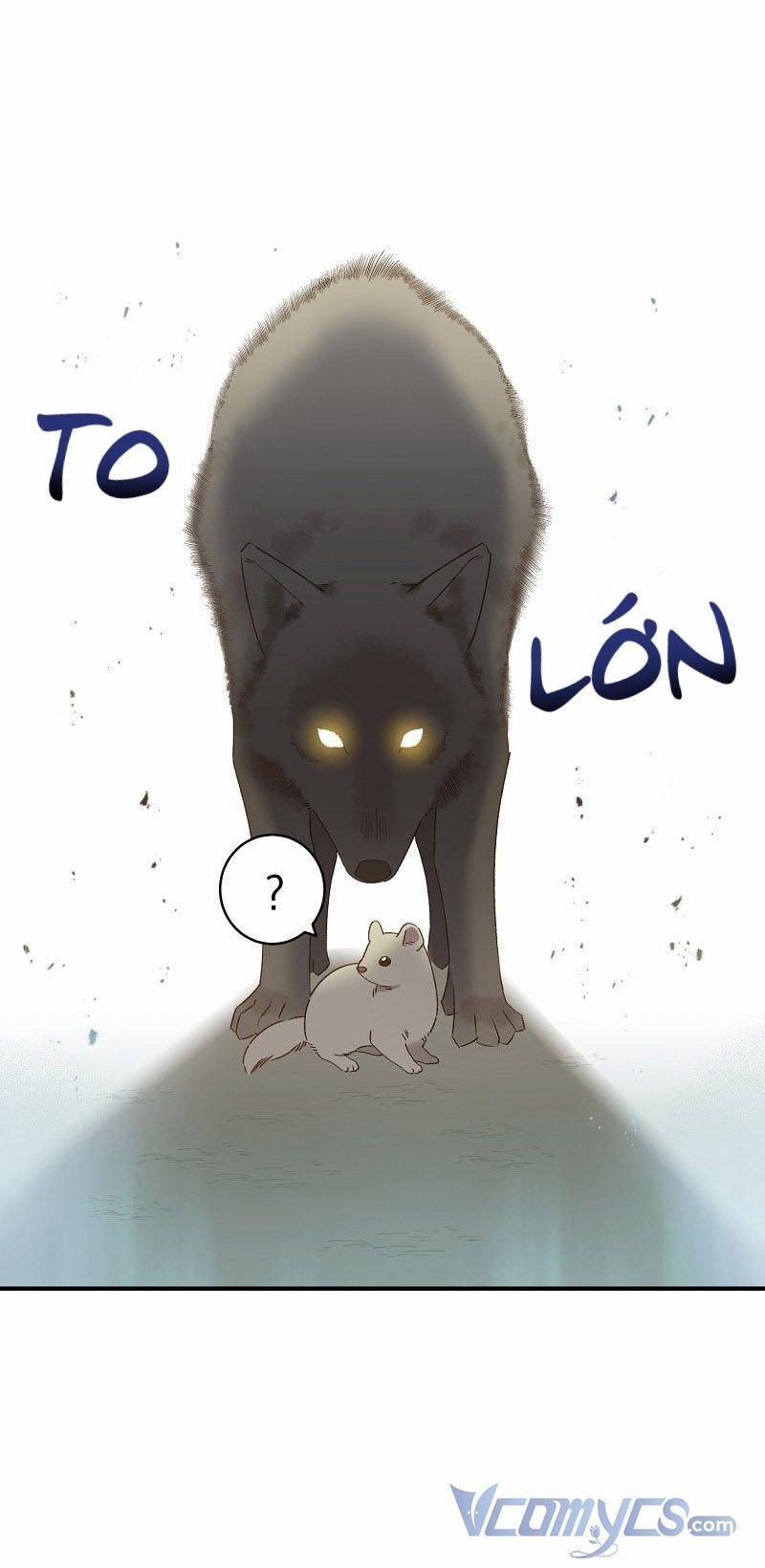 Cái Chết Của Chồn Tuyết 1 trang 13