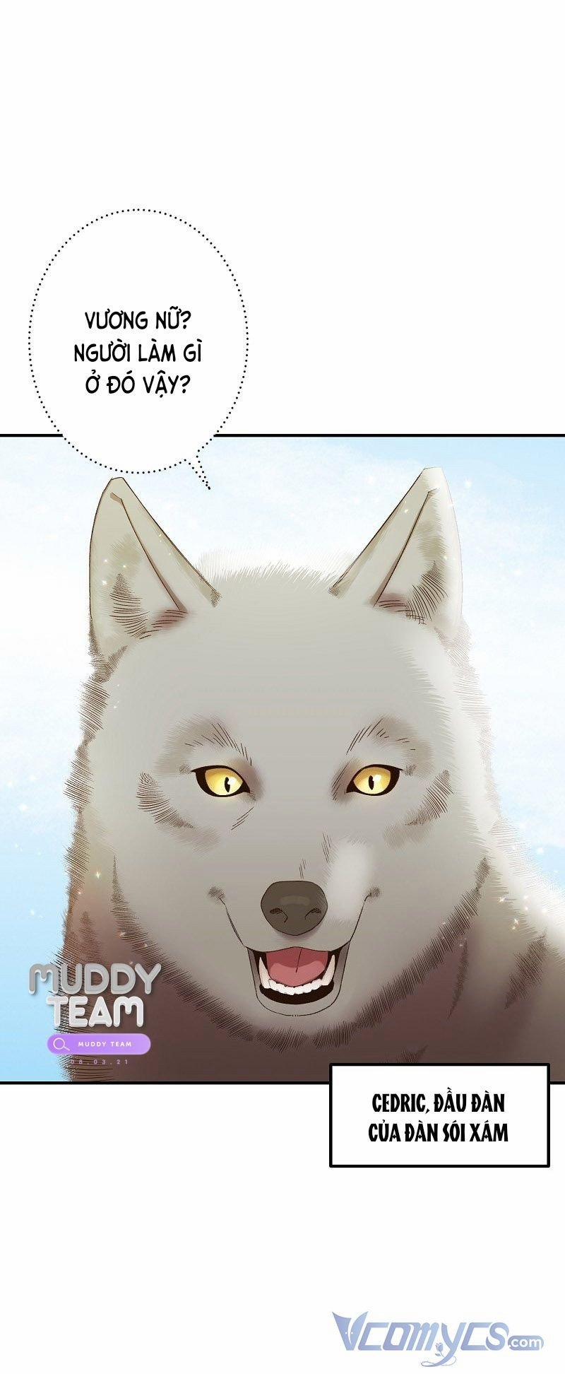 Cái Chết Của Chồn Tuyết 1 trang 14