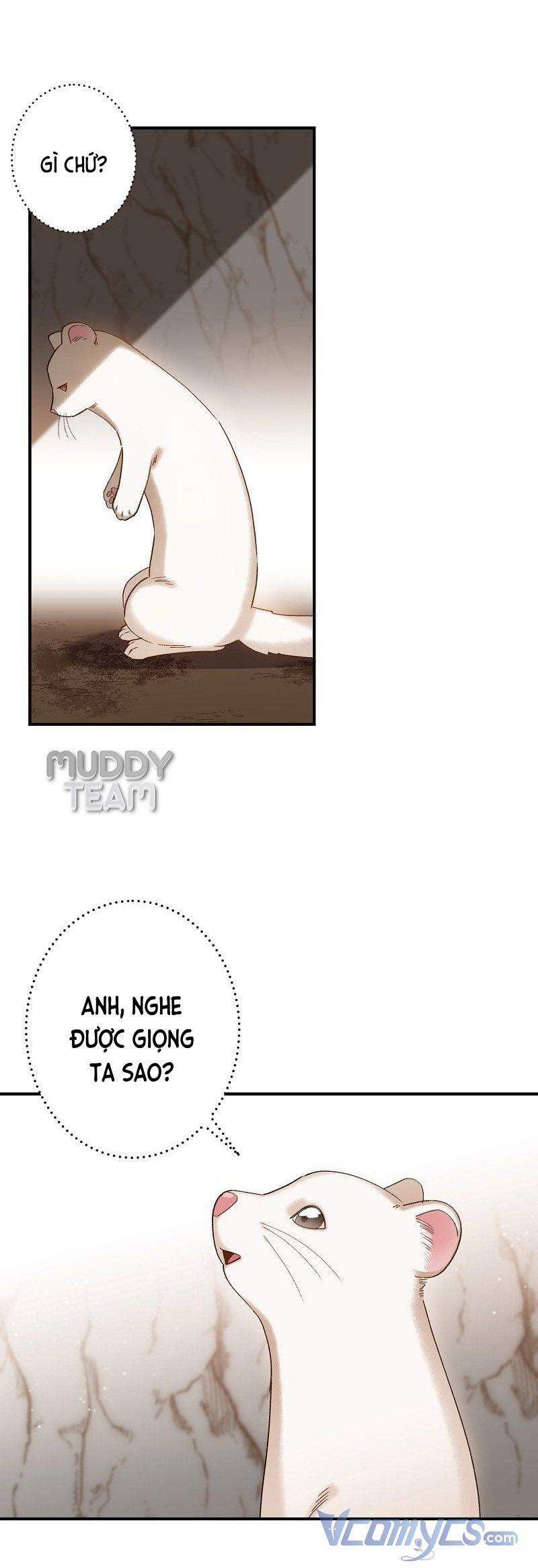 Cái Chết Của Chồn Tuyết 4 trang 12