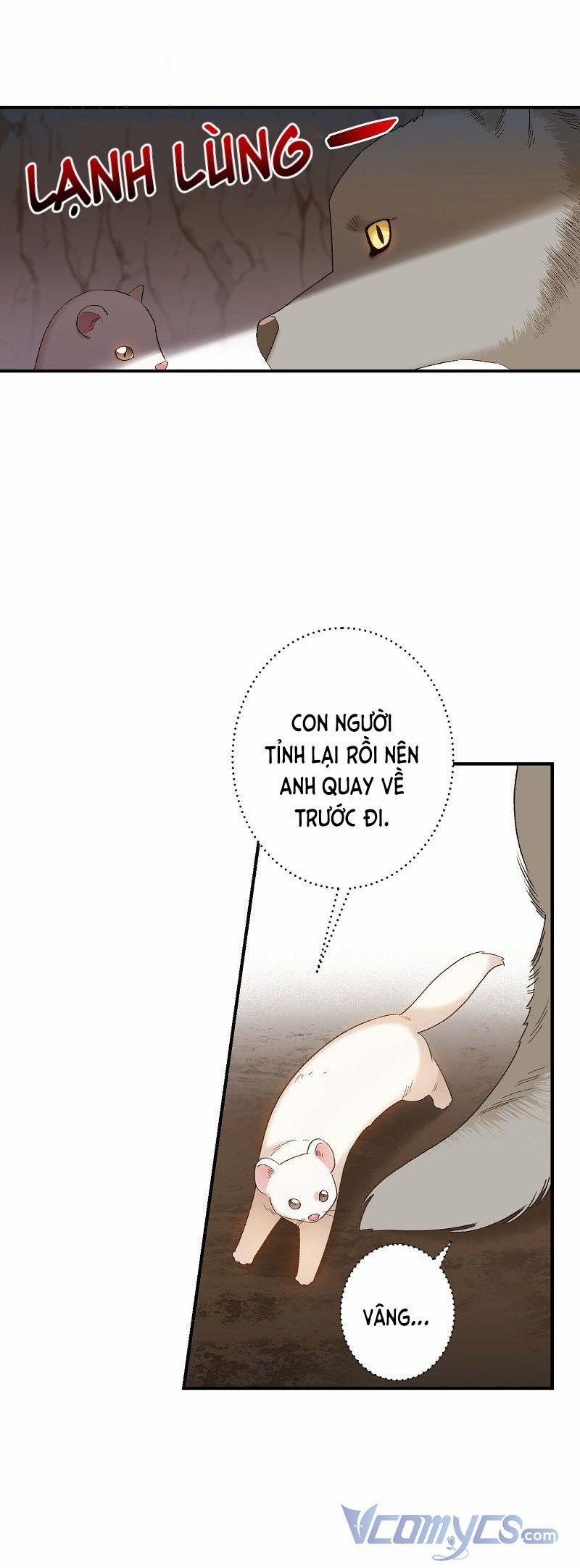 Cái Chết Của Chồn Tuyết 4 trang 5