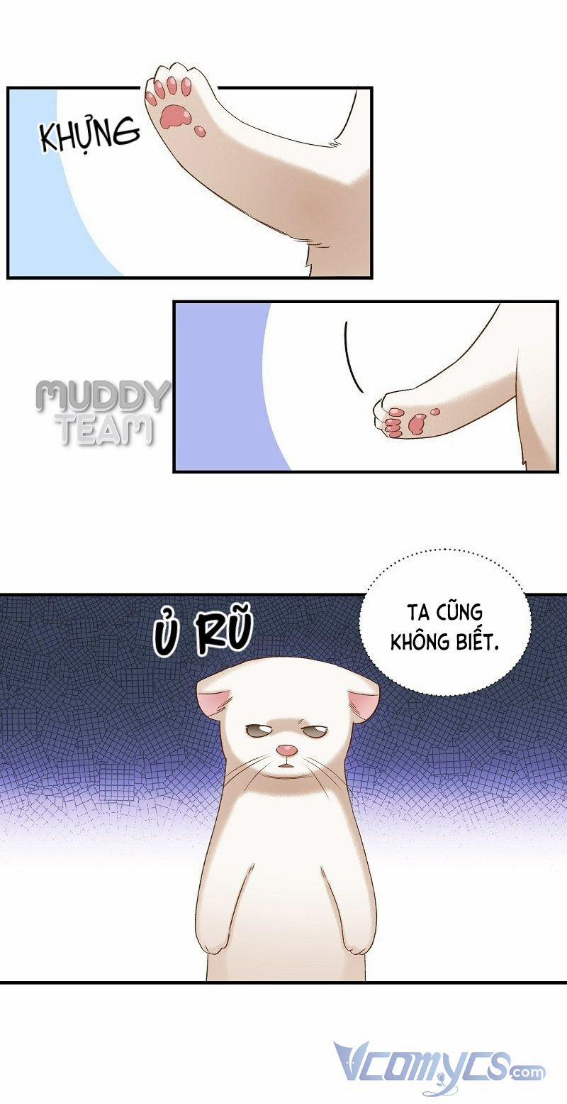 Cái Chết Của Chồn Tuyết 6 trang 6