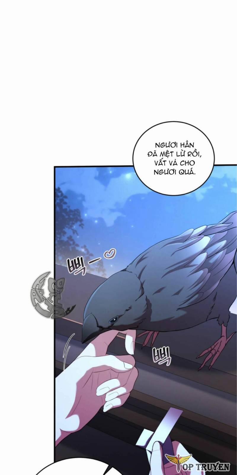 Cái Giá Khi Huỷ Hôn. 11 trang 28