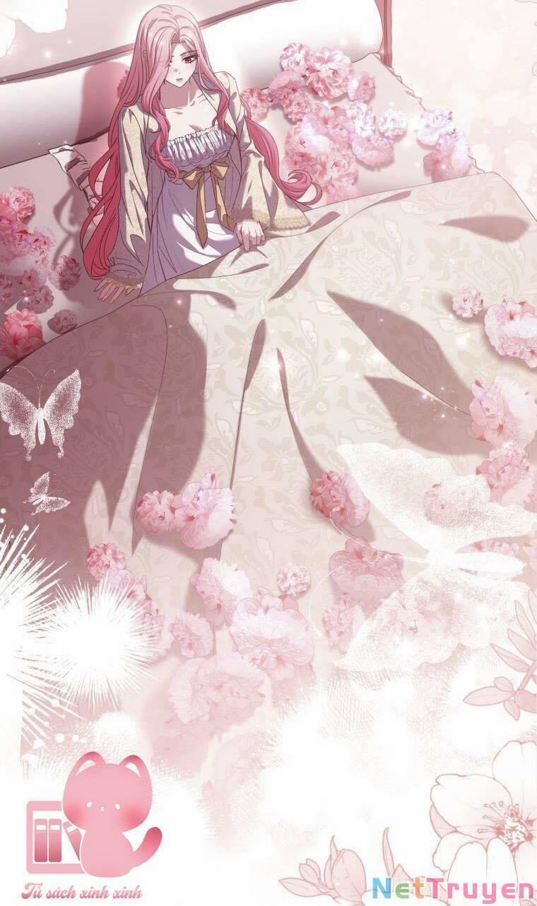 Cái Giá Khi Huỷ Hôn. 8 trang 47