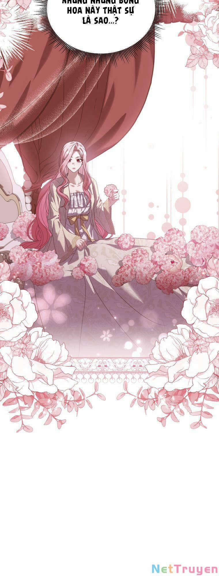 Cái Giá Khi Huỷ Hôn. 8 trang 49