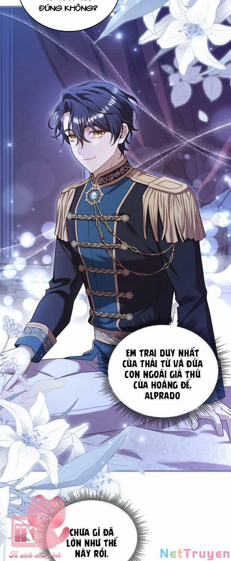 Cái Giá Khi Huỷ Hôn. 8 trang 60