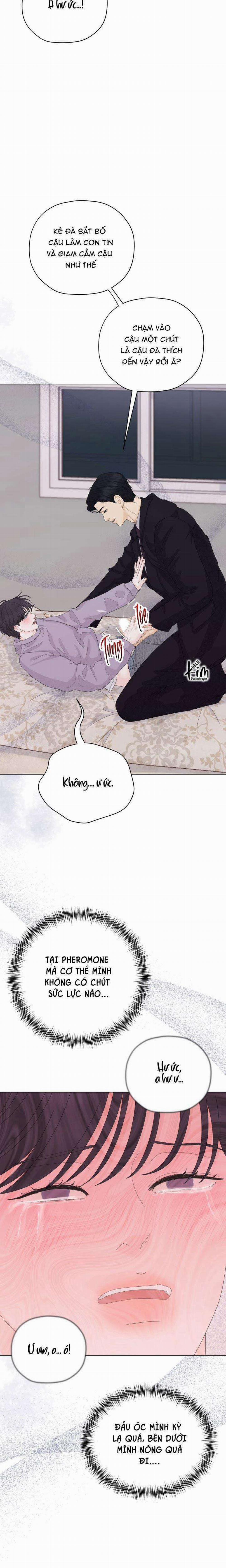 Cái Nôi Của Tội Ác 3 trang 5