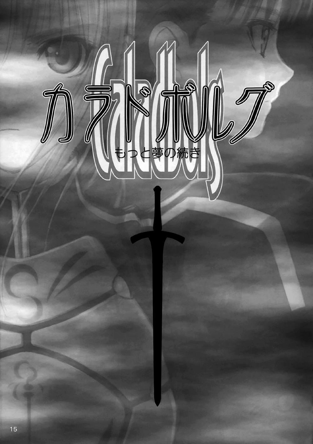 Caladbolg, Mơ Thêm Chút Nữa (Fate/stay night) 0 Comic trang 1