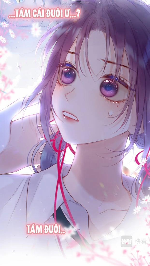 Cạm Bẫy Của Hồ Ly 0 trang 8