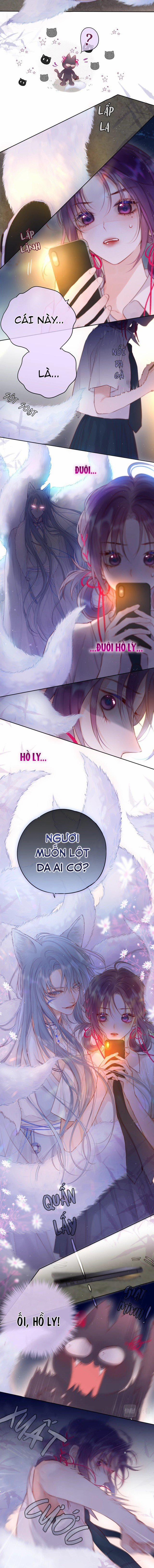 Cạm Bẫy Của Hồ Ly 1 trang 11