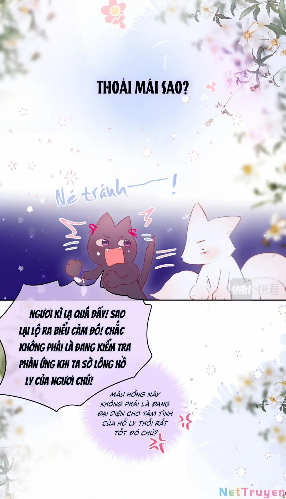 Cạm Bẫy Của Hồ Ly 10 trang 15