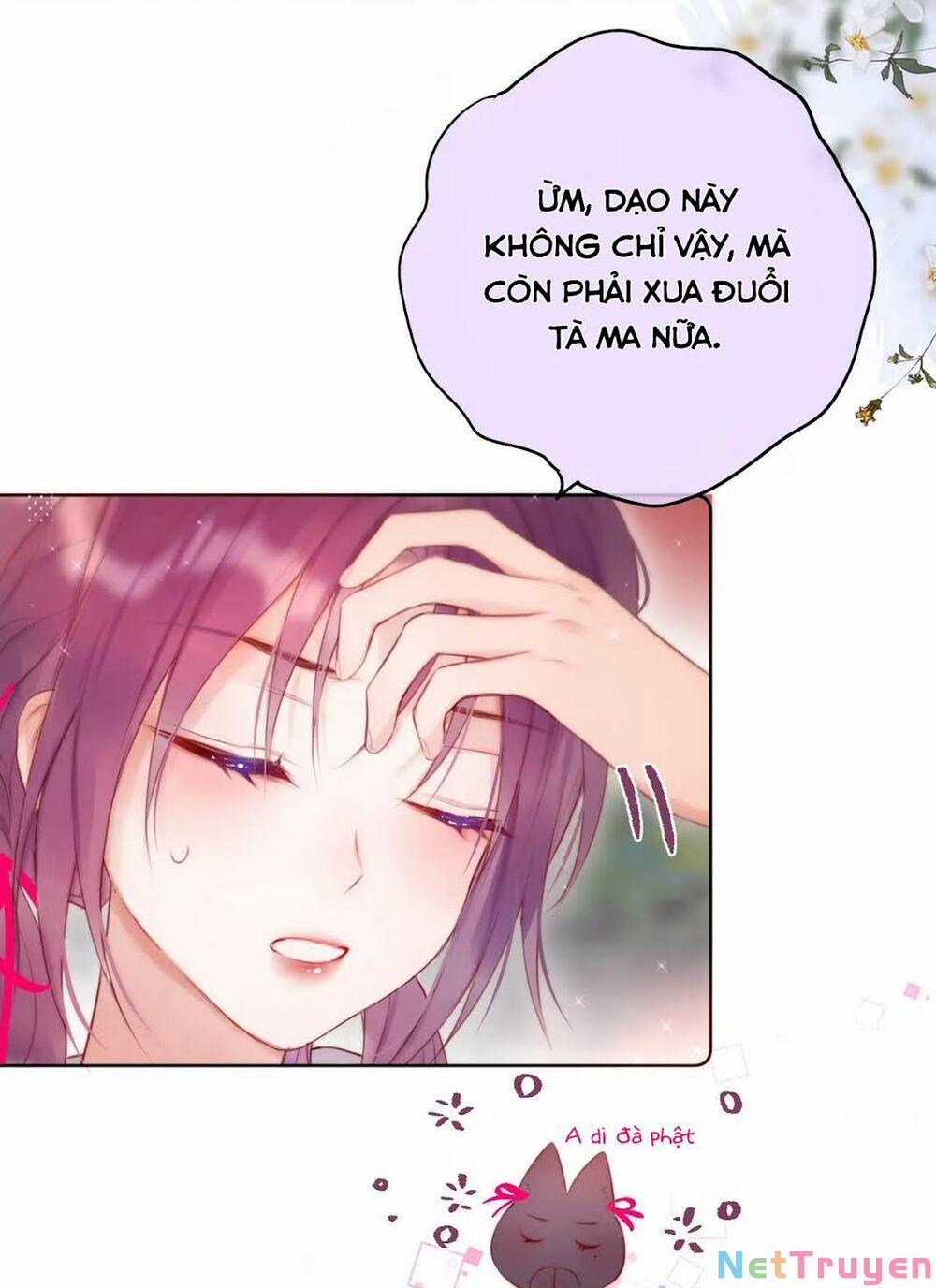 Cạm Bẫy Của Hồ Ly 11 trang 22