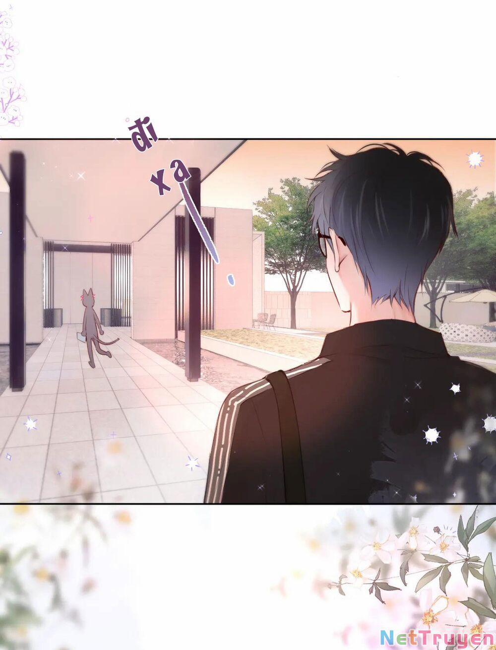 Cạm Bẫy Của Hồ Ly 11 trang 28